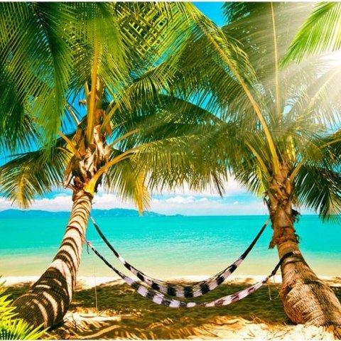 Fototapeta - Palmy i hamaki na plaży Fototapeta - Palmy i hamaki na plaży