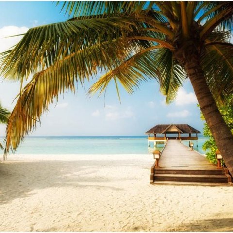 Fototapeta - Rajska plaża i palmy Fototapeta - Rajska plaża i palmy