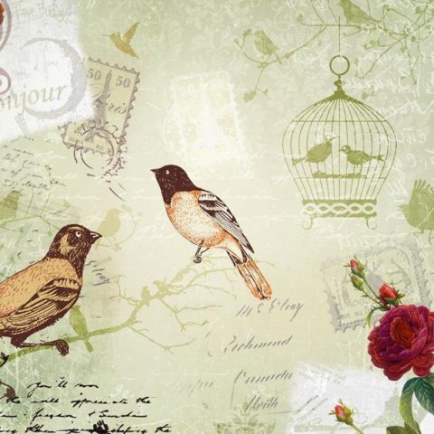 Fototapeta - Vintage birds Fototapeta - Vintage birds