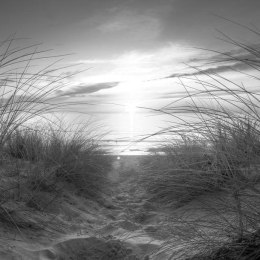 Fototapeta - plaża (czarno-biały)