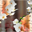 Fototapeta - Orchidea, Pomarańczowa