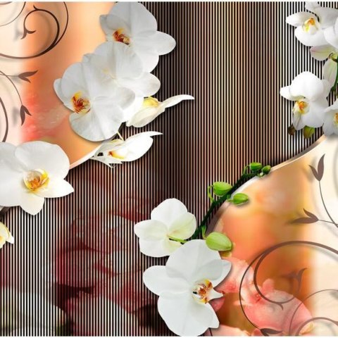 Fototapeta - Orchidea, Pomarańczowa Fototapeta - Orchidea, Pomarańczowa