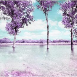 Fototapeta - Wrzosowe Drzewa, Jezioro
