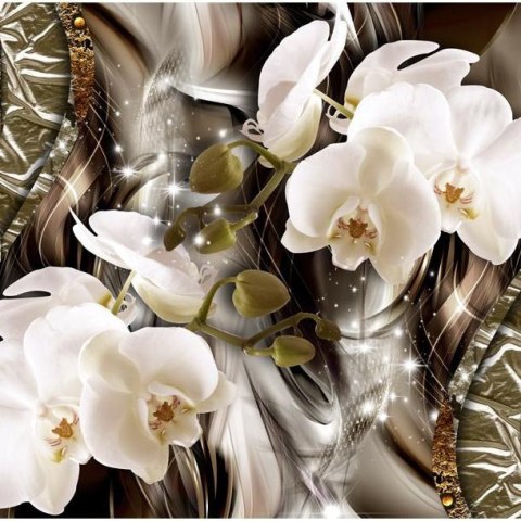 Fototapeta - Złoto i biała orchidea Fototapeta - Złoto i biała orchidea
