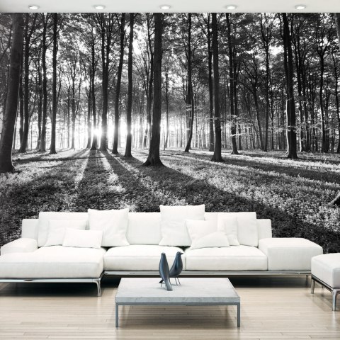 Fototapeta samoprzylepna - Czarno-Biały Las Fototapeta samoprzylepna - Czarno-Biały Las