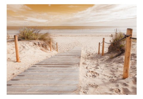 Fototapeta samoprzylepna - Na plaży - sepia Fototapeta samoprzylepna - Na plaży - sepia