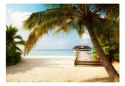 Fototapeta samoprzylepna - Plaża i Palmy
