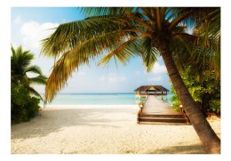 Fototapeta samoprzylepna - Plaża i Palmy