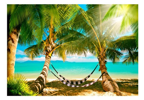 Fototapeta samoprzylepna - Palmy i Plaże Fototapeta samoprzylepna - Palmy i Plaże