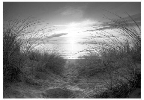 Fototapeta samoprzylepna - Czarnobiała Plaża Fototapeta samoprzylepna - Czarnobiała Plaża