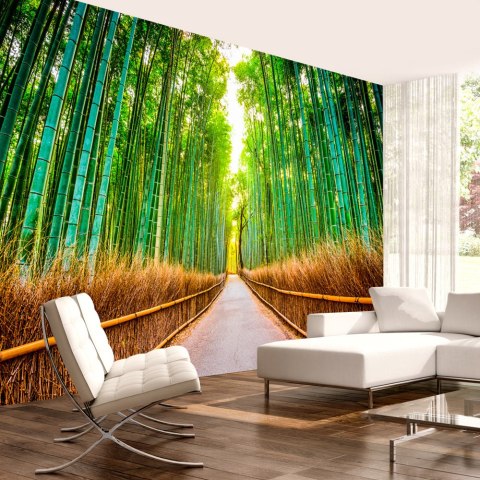 Fototapeta samoprzylepna - Bambusowy las Fototapeta samoprzylepna - Bambusowy las