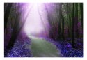 Fototapeta samoprzylepna - Fioletowy Las