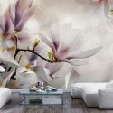 Fototapeta samoprzylepna - Subtelne magnolie