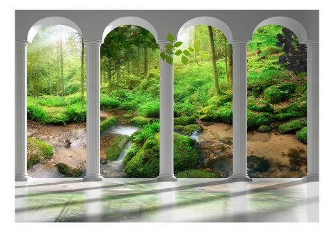 Fototapeta - Filary i las, Natura Fototapeta - Filary i las, Natura