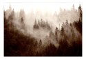 Fototapeta - Las iglasty, Góry, Sepia
