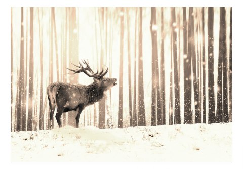 Fototapeta - Jeleń na śniegu - sepia Fototapeta - Jeleń na śniegu - sepia