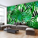 Fototapeta - Tropikalne Liście Natura