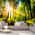 Fototapeta samoprzylepna - Słońce i Natura