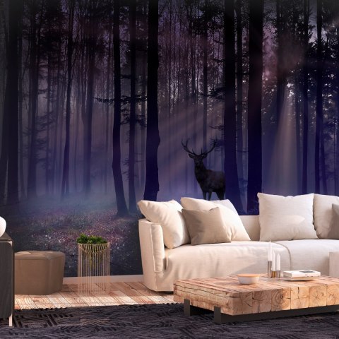 Fototapeta samoprzylepna - Nocny Las, Jeleń Fototapeta samoprzylepna - Nocny Las, Jeleń