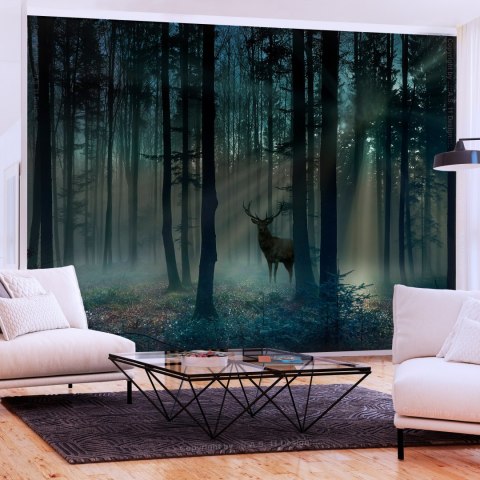 Fototapeta samoprzylepna - Mroczny Las Jeleń Fototapeta samoprzylepna - Mroczny Las Jeleń