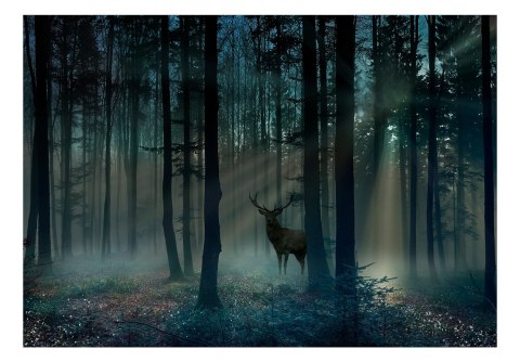 Fototapeta samoprzylepna - Mroczny Las Jeleń Fototapeta samoprzylepna - Mroczny Las Jeleń