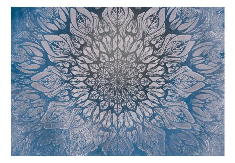 FOTOTAPETA SAMOPRZYLEPNA 3D NA ŚCIANĘ 196x140 Pajęczyna (niebieski) FOTOTAPETA SAMOPRZYLEPNA 3D NA ŚCIANĘ 196x140 Pajęczyna (niebieski)