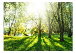 Fototapeta samoprzylepna - Natura i Wiosna