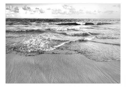 Fototapeta samoprzylepna - Czarnobiała Plaża Fototapeta samoprzylepna - Czarnobiała Plaża