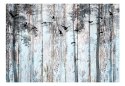 Fototapeta - Natura, Drewno, Deski