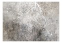 Fototapeta - Szare rośliny, Gałęzie