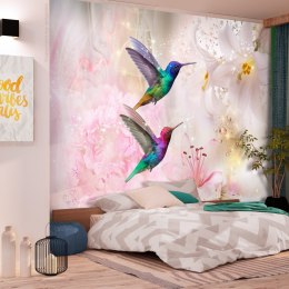 Fototapeta - Kolorowe kolibry, Róż