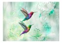 Fototapeta - Kolorowe kolibry, Turkus