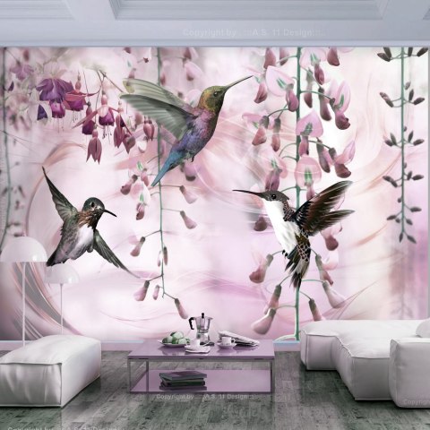 Fototapeta - Ptaki, Kolibry, Różowa Fototapeta - Ptaki, Kolibry, Różowa