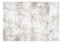 Fototapeta - Jasny Beton, Loft
