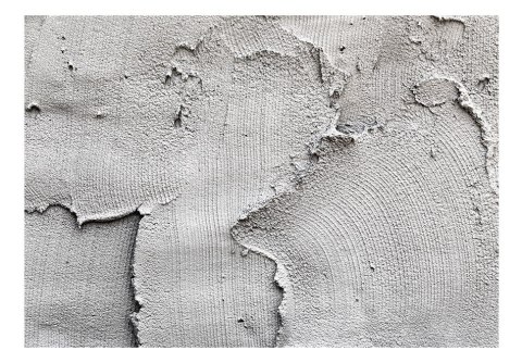 Fototapeta samoprzylepna - Beton, Tynk, Loft Fototapeta samoprzylepna - Beton, Tynk, Loft