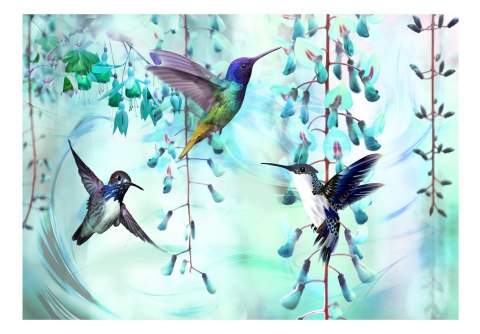 Fototapeta samoprzylepna - Kolibry, Turkus Fototapeta samoprzylepna - Kolibry, Turkus