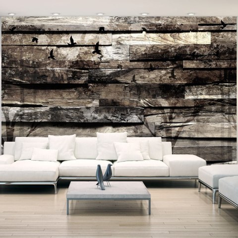 Fototapeta samoprzylepna - Drewno, Natura Fototapeta samoprzylepna - Drewno, Natura
