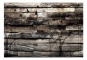 Fototapeta samoprzylepna - Drewno, Natura