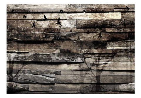 Fototapeta samoprzylepna - Drewno, Natura Fototapeta samoprzylepna - Drewno, Natura