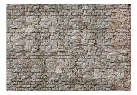 Fototapeta samoprzylepna - Kamienny Mur Fototapeta samoprzylepna - Kamienny Mur