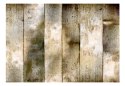 Fototapeta samoprzylepna - Złote pasy