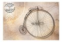 Fototapeta - Bicykl, Retro, Vintage