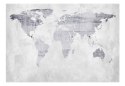 Fototapeta samoprzylepna - Betonowa mapa