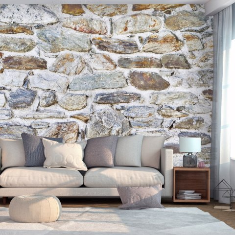 Fototapeta samoprzylepna - Zamkowy Mur