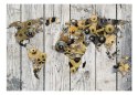 Fototapeta samoprzylepna - Industrialna Mapa