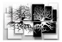 Fototapeta samoprzylepna - Pocałunek Drzew