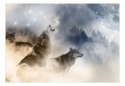 Fototapeta samoprzylepna - Wilki we mgle