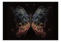 Fototapeta - Abstrakcyjny motyl