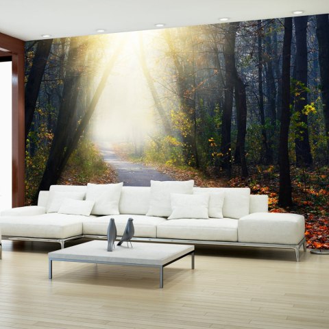 Fototapeta - Droga w Lesie, Natura Fototapeta - Droga w Lesie, Natura