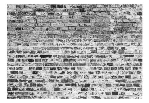 Fototapeta - Szary Ceglany Mur Fototapeta - Szary Ceglany Mur